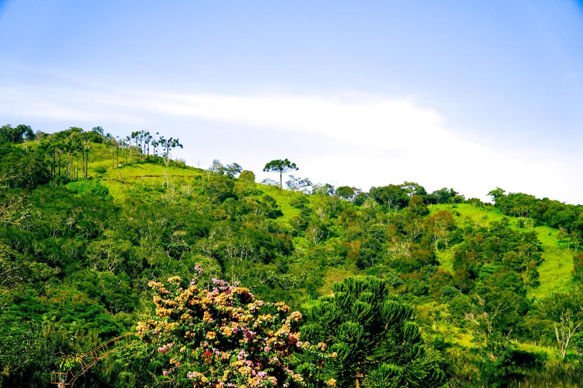 Pousada Highland Santo Antônio do Pinhal Kültér fotó